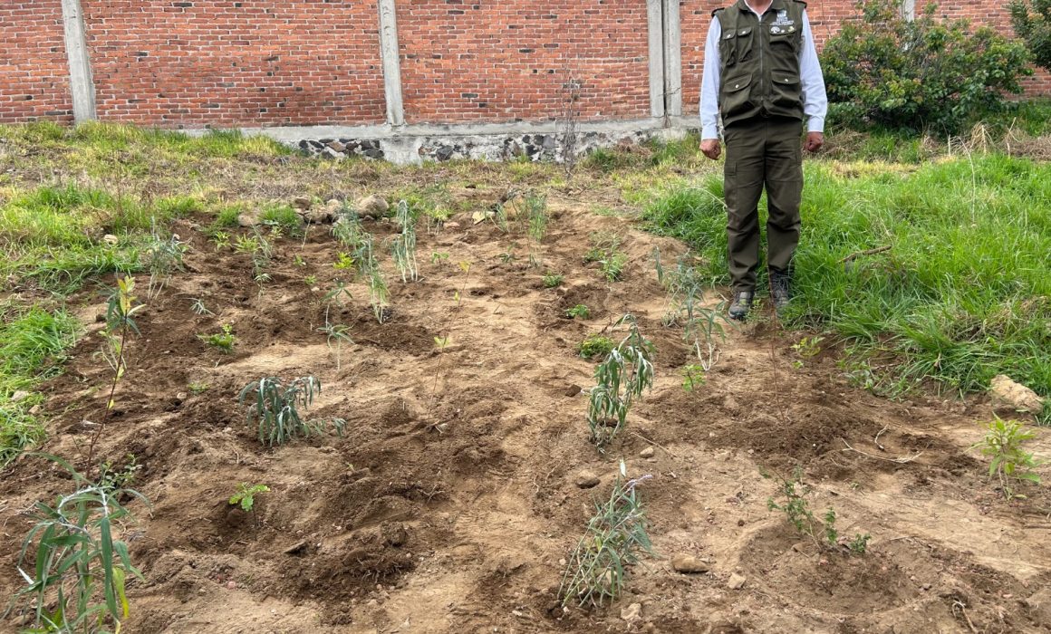 Foto: Secretaría de Medio Ambiente del Estado de México
