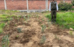 Foto: Secretaría de Medio Ambiente del Estado de México
