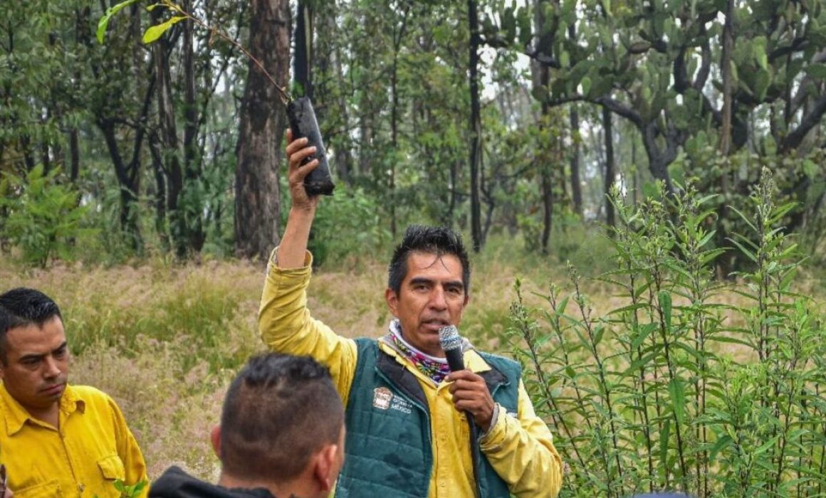 Impulsa reforestación en Parque Estatal Sierra de Guadalupe con 750 árboles nativos