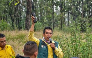 Impulsa reforestación en Parque Estatal Sierra de Guadalupe con 750 árboles nativos