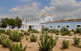 Legado pulquero y turismo histórico de Axapusco_ Las vacas verdes