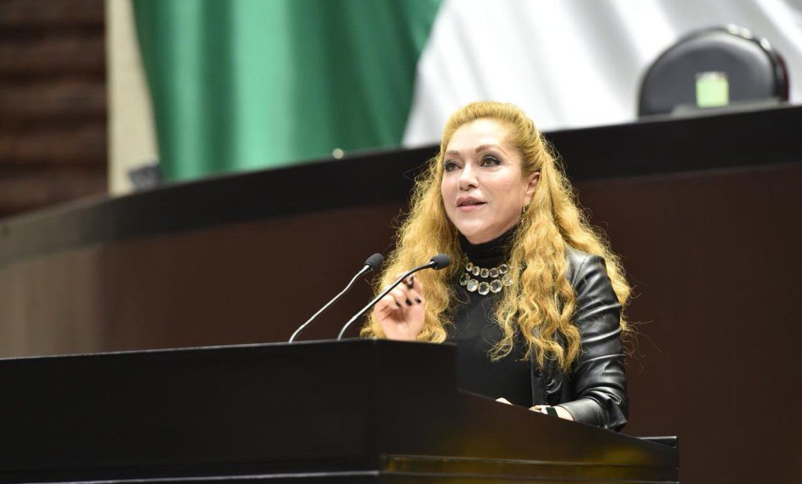 Legislar va más allá de elaborar y aprobar leyes, Ana Balderas