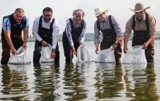 Lleva Edomex acuacultura a nuevo nivel con 558 mil crías en Jilotepec