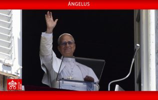Misericordia y paz mundial, los temas del Papa en el Ángelus