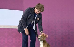 Pondrá en marcha Delfina Gómez campaña de esterilización