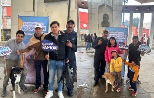 Promueven adopción de mascotas en Huixquilucan con más de 350 casos