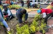 Reforestan 1.5 km de camellón en Los Reyes La Paz con mil nuevas plantas