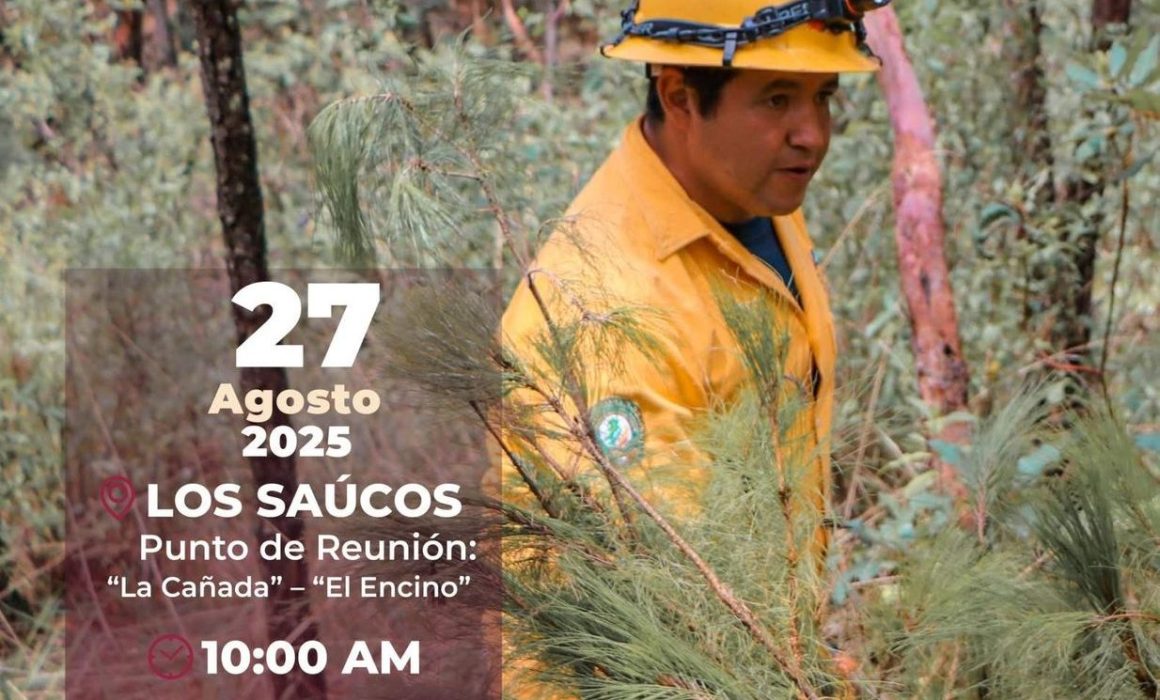 Refuerzan en Valle de Bravo la conciencia con jornada de reforestación