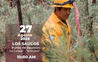 Refuerzan en Valle de Bravo la conciencia con jornada de reforestación