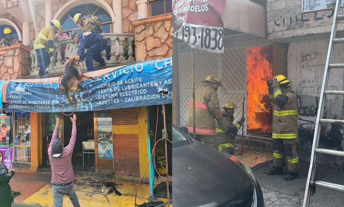Rescatan a perrito durante incendio en vivienda de Los Reyes La Paz