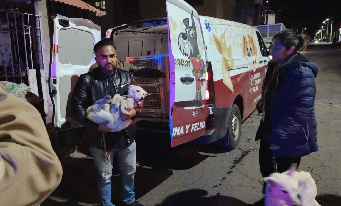 Rescatan en Ixtapaluca a dos perros tras difundirse caso de maltrato