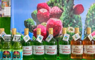 Trabaja Icamex para que nunca falte el Nopal en la carnita asada