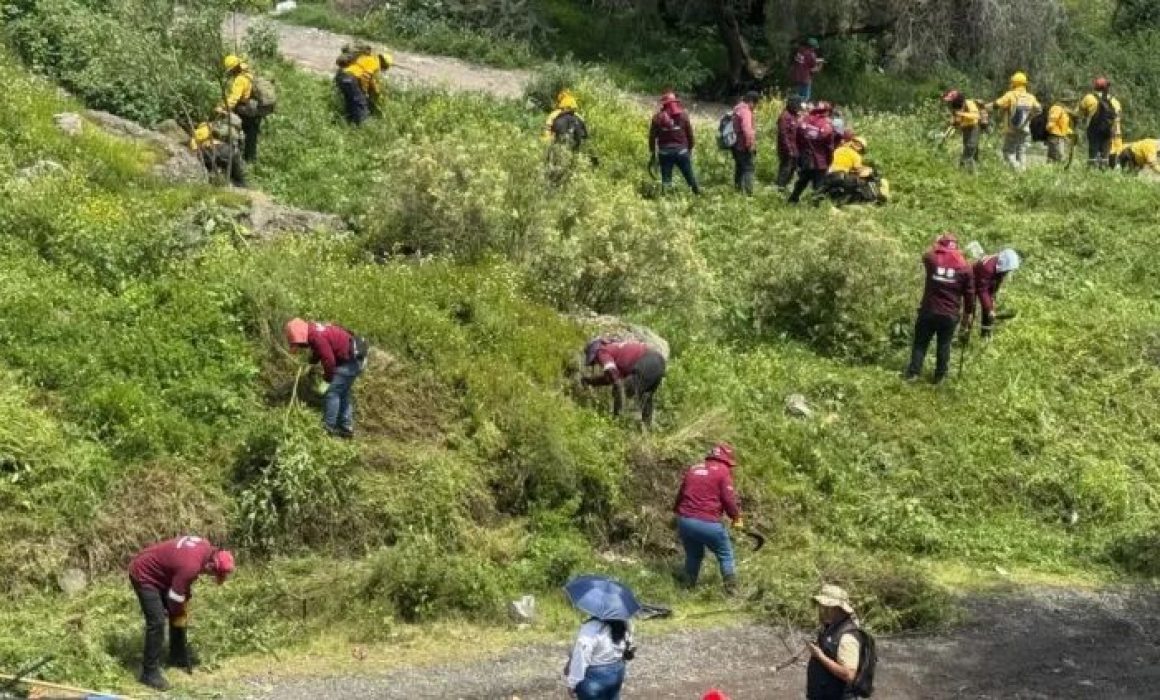 Verifican búsqueda de 250 personas desaparecidas en Sierra de Guadalupe