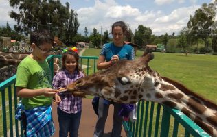 Lanzan promoción de verano en zoológico de Zacango