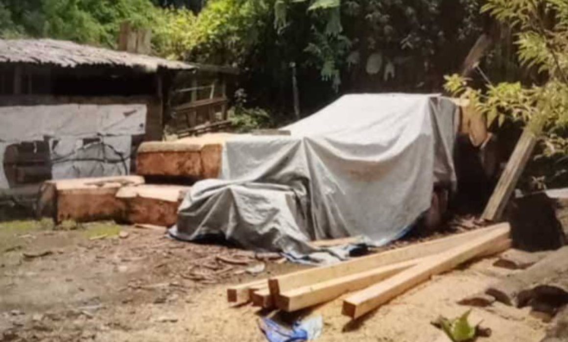 Alertan en Atlautla predio usado para almacenar madera ilegal