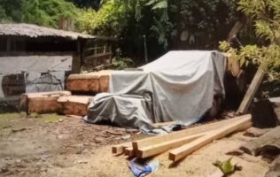 Alertan en Atlautla predio usado para almacenar madera ilegal