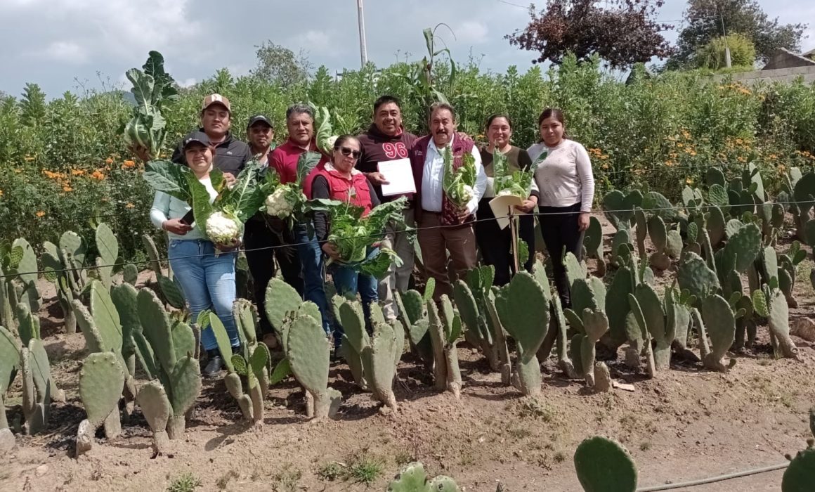 Celebramos hoy al Nopal, un alimento de los dioses