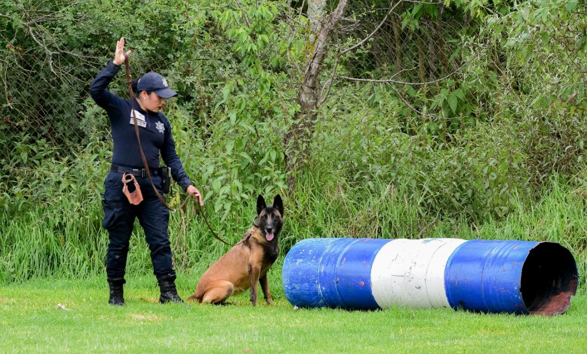 Entrena a 56 peludos para que defiendan a los mexiquenses