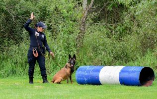 Entrena a 56 peludos para que defiendan a los mexiquenses