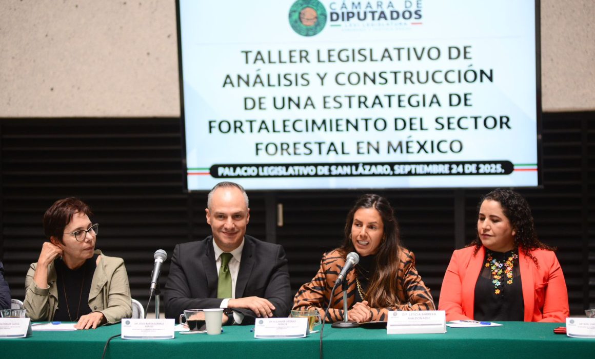 Fortalece Taller Legislativo alianzas para impulsar al sector forestal en México