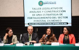 Fortalece Taller Legislativo alianzas para impulsar al sector forestal en México