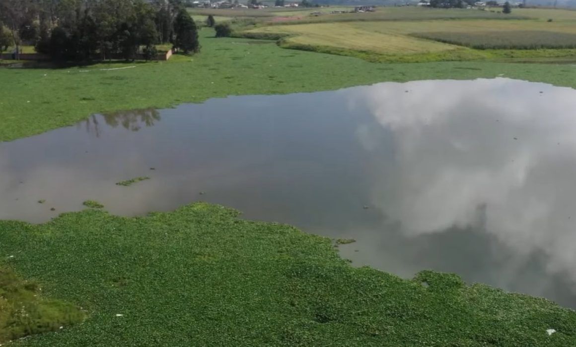 Hallan cadáver flotando en presa entre los límites de Toluca y Temoaya