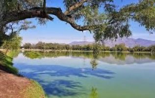 Preparan plan integral para la recuperación de la Laguna de Axotlán en Cuautitlán Izcalli