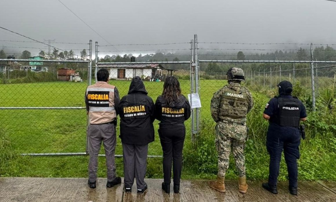 Protegen autoridades a tres perros maltratados en Valle de Bravo