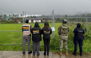 Protegen autoridades a tres perros maltratados en Valle de Bravo