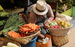 Impulsan a Tequixquiac con programa de hortalizas y plántulas