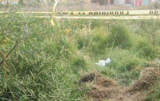Abandonan a bebé de siete meses en predio de Almoloya de Juárez