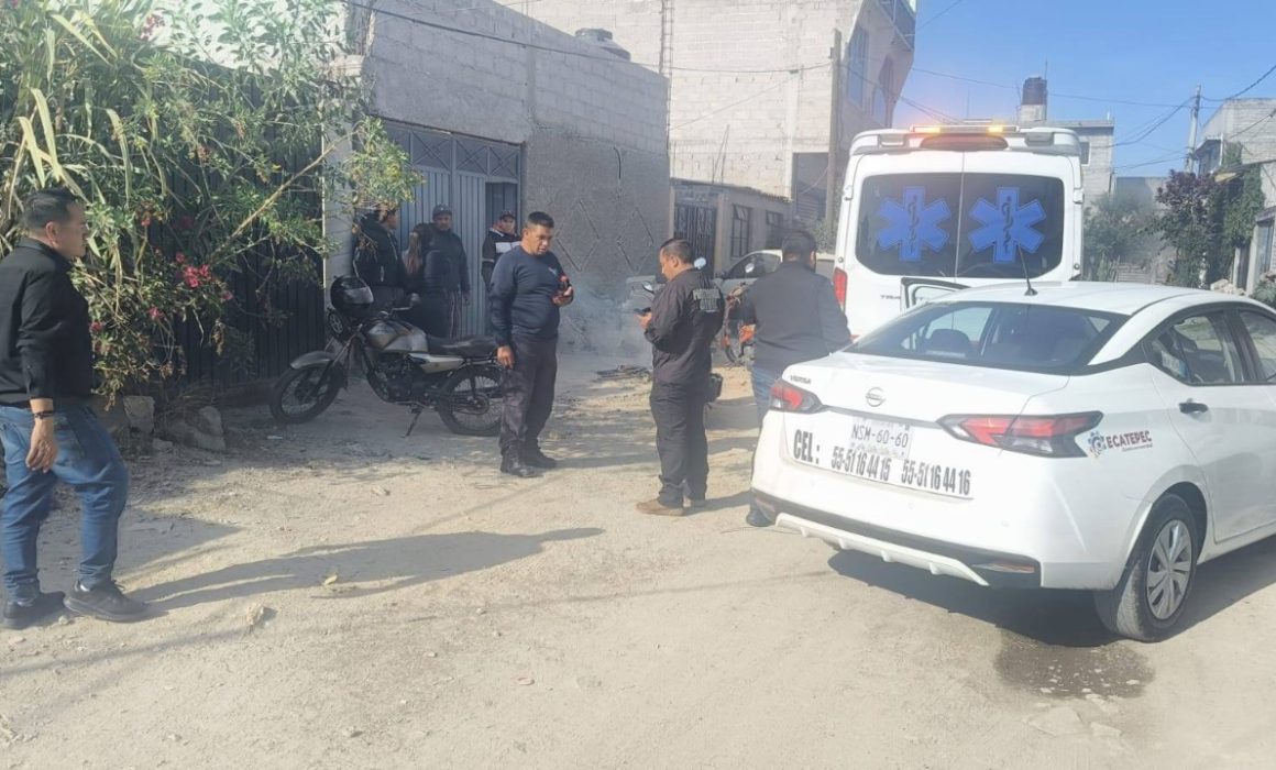 Atacan abejas a 7 personas en Ecatepec; fueron hospitalizadas