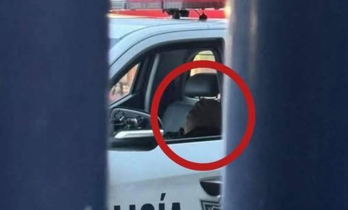 Captan a policía municipal dormido en Ixtapaluca mientras crece la delincuencia
