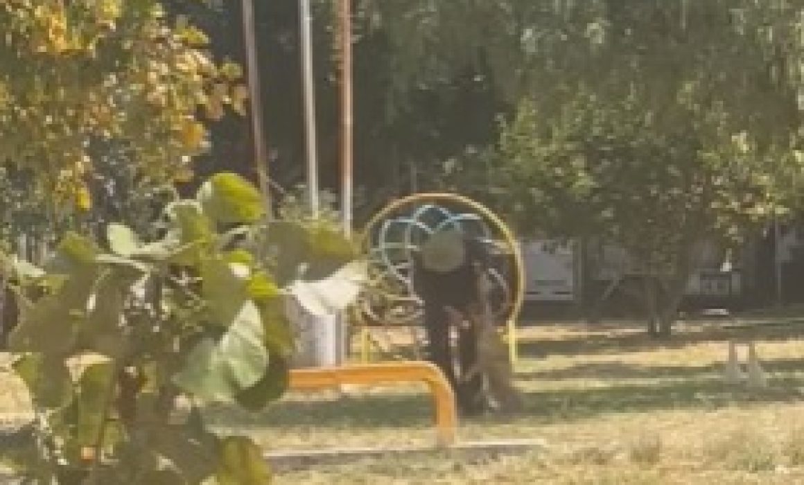 Captan presunto maltrato animal durante “adiestramiento” en Ixtapaluca