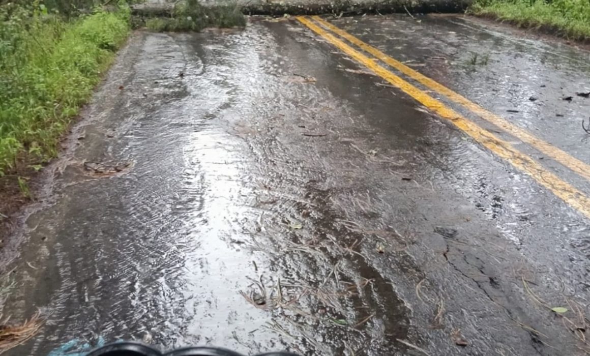 Colapsa la Toluca – Altamirano por fuertes lluvias; hay varios deslaves