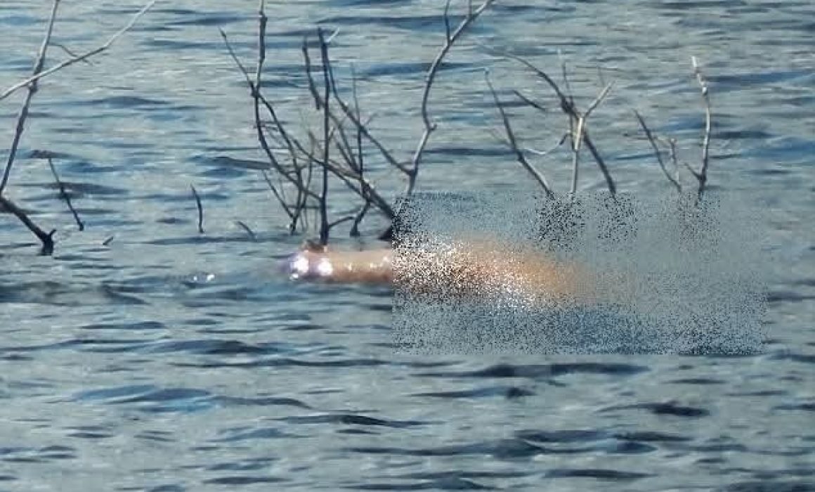Encuentran en Teoloyucan a mujer sin vida cerca de la Laguna de Zumpango