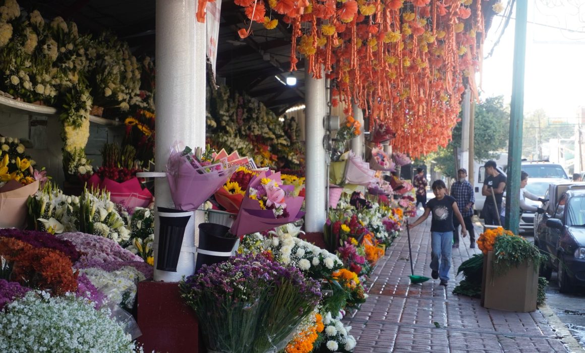 Esperan buenas ventas floristas de Toluca durante Día de Muertos