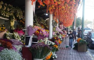 Esperan buenas ventas floristas de Toluca durante Día de Muertos