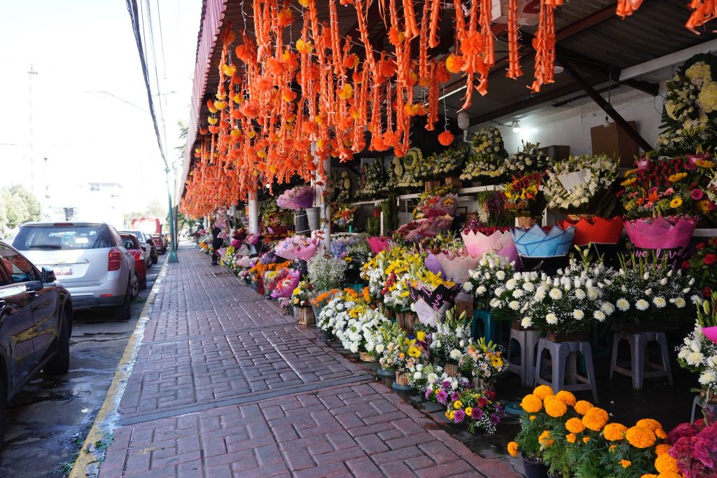 Esperan buenas ventas floristas de Toluca durante Día de Muertos