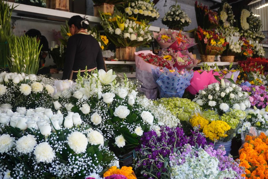 Esperan buenas ventas floristas de Toluca durante Día de Muertos