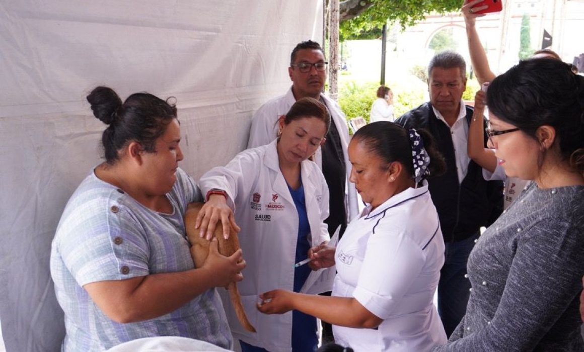 Impulsa vacunación antirrábica Edomex con miles de dosis aplicadas
