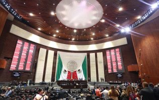Iniciativa pasa aduana de la Cámara de Diputados