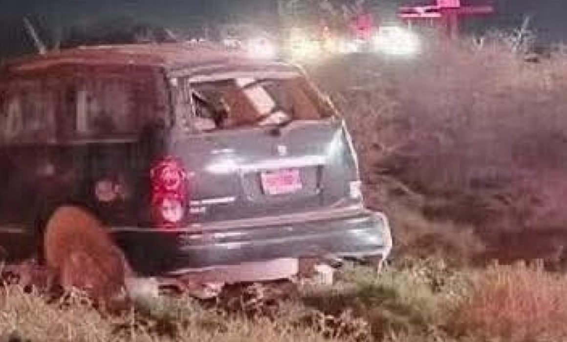 Mueren 4 músicos en fuerte volcadura sobre carretera 57 de SLP