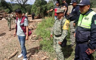 Persiste crisis en Santo Tomás por lluvias; cae árbol cerca de socavón