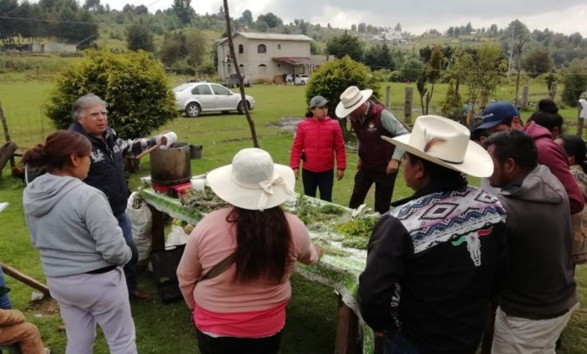 Profesionaliza Gobierno Mexiquense a sus campesinos