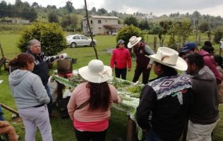 Profesionaliza Gobierno Mexiquense a sus campesinos