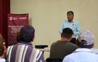 Promueven en Acolman huertos urbanos para fortalecer la alimentación