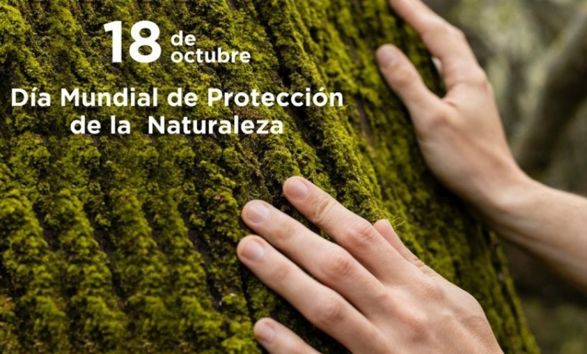 Proteger la naturaleza: la responsabilidad es global
