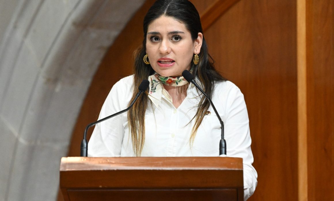 Quiere Morena instalar cámaras en hoteles y moteles de Edomex