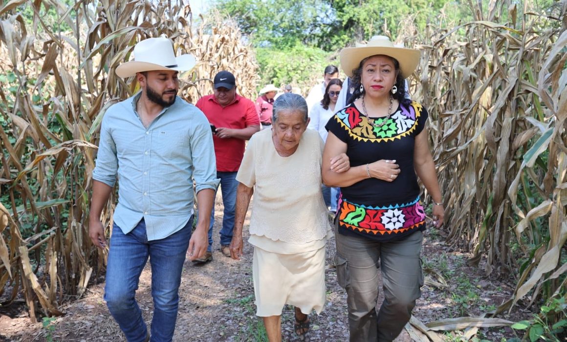 Recorren autoridades del campo cultivos dañados por lluvias en Luvianos